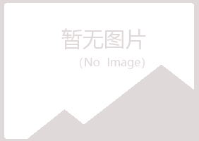 香港冰夏化学有限公司